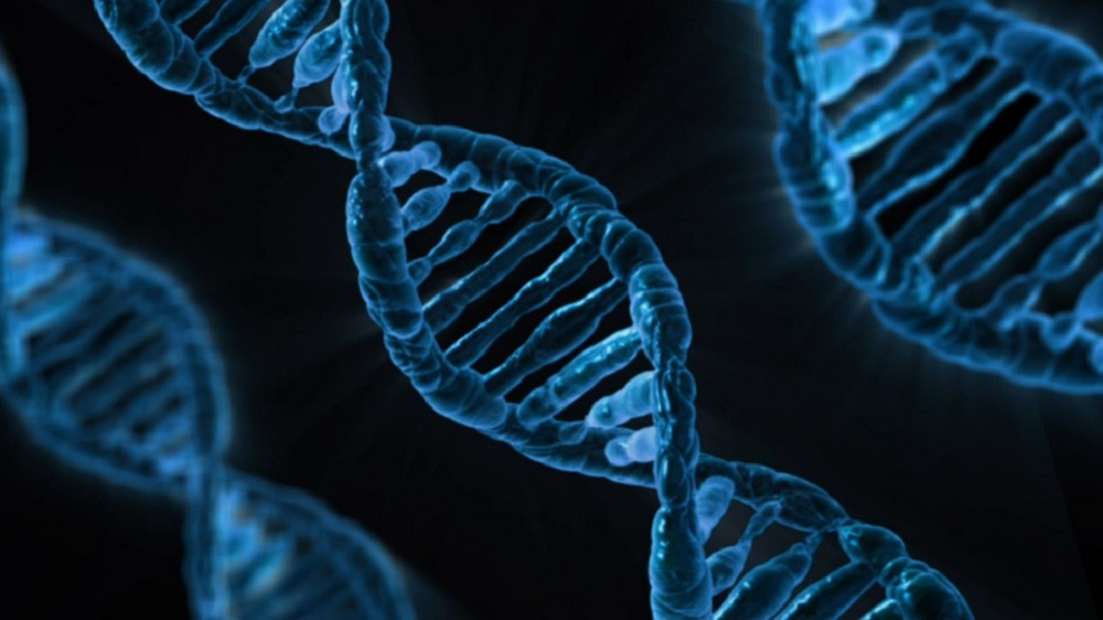 A New Method that Could Help Scientists Create Genes ‘Overnight’