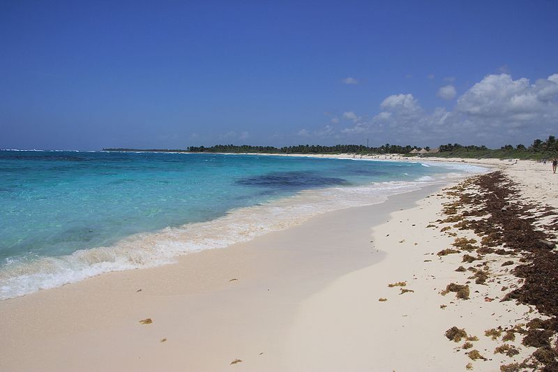 Mexico ceases all further hotel development at a nesting beach for sea turtles