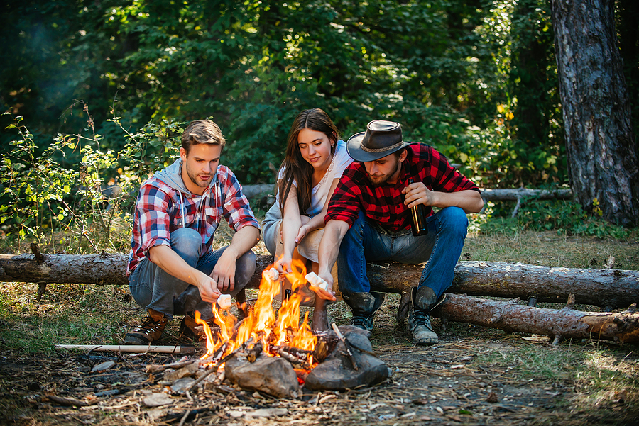 Don’t chop down trees for firewood