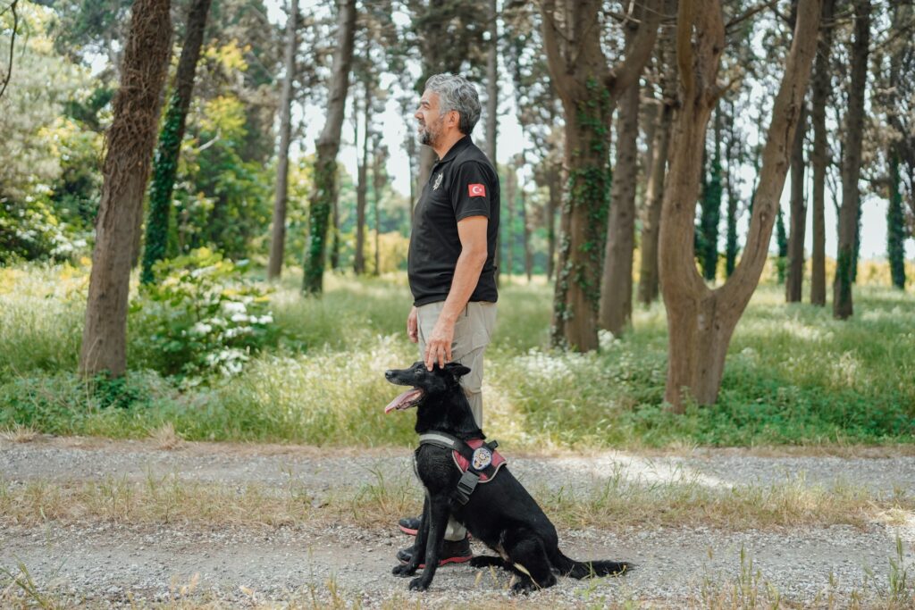 Dogs training