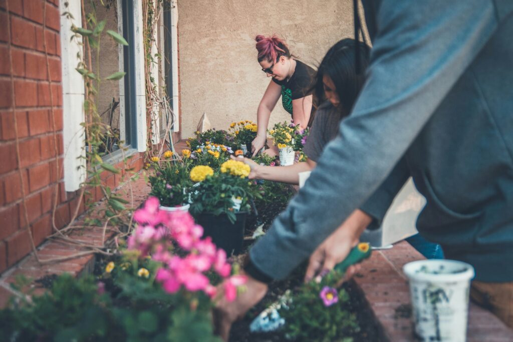 Best May Flowers Based On Your Climate Zone