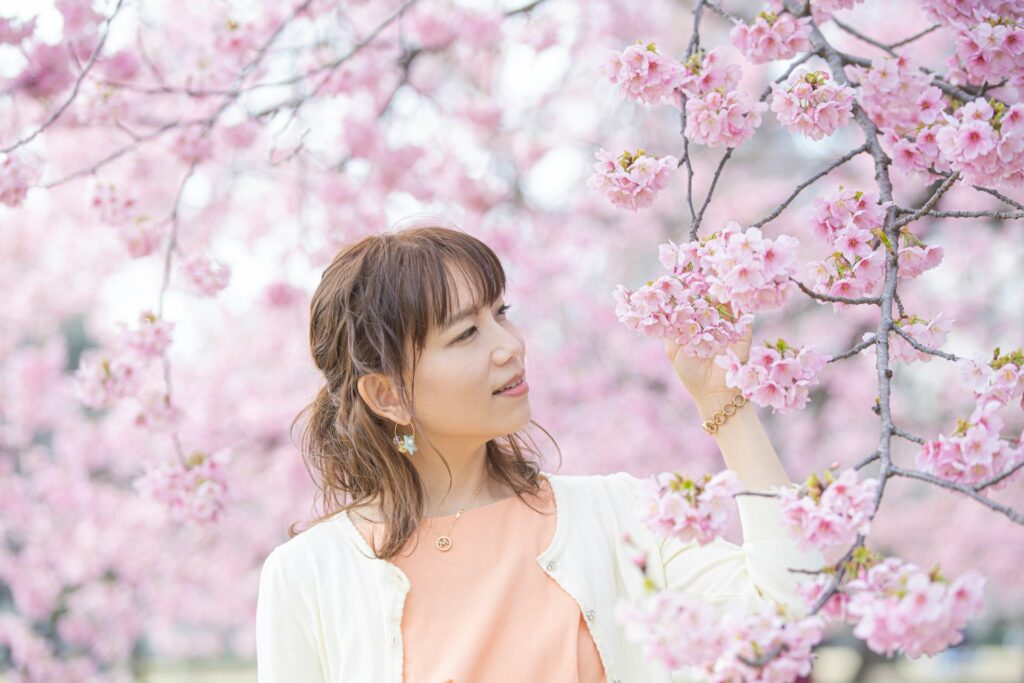 Singapore's Cherry Blossoms A Guide to Trumpet Trees