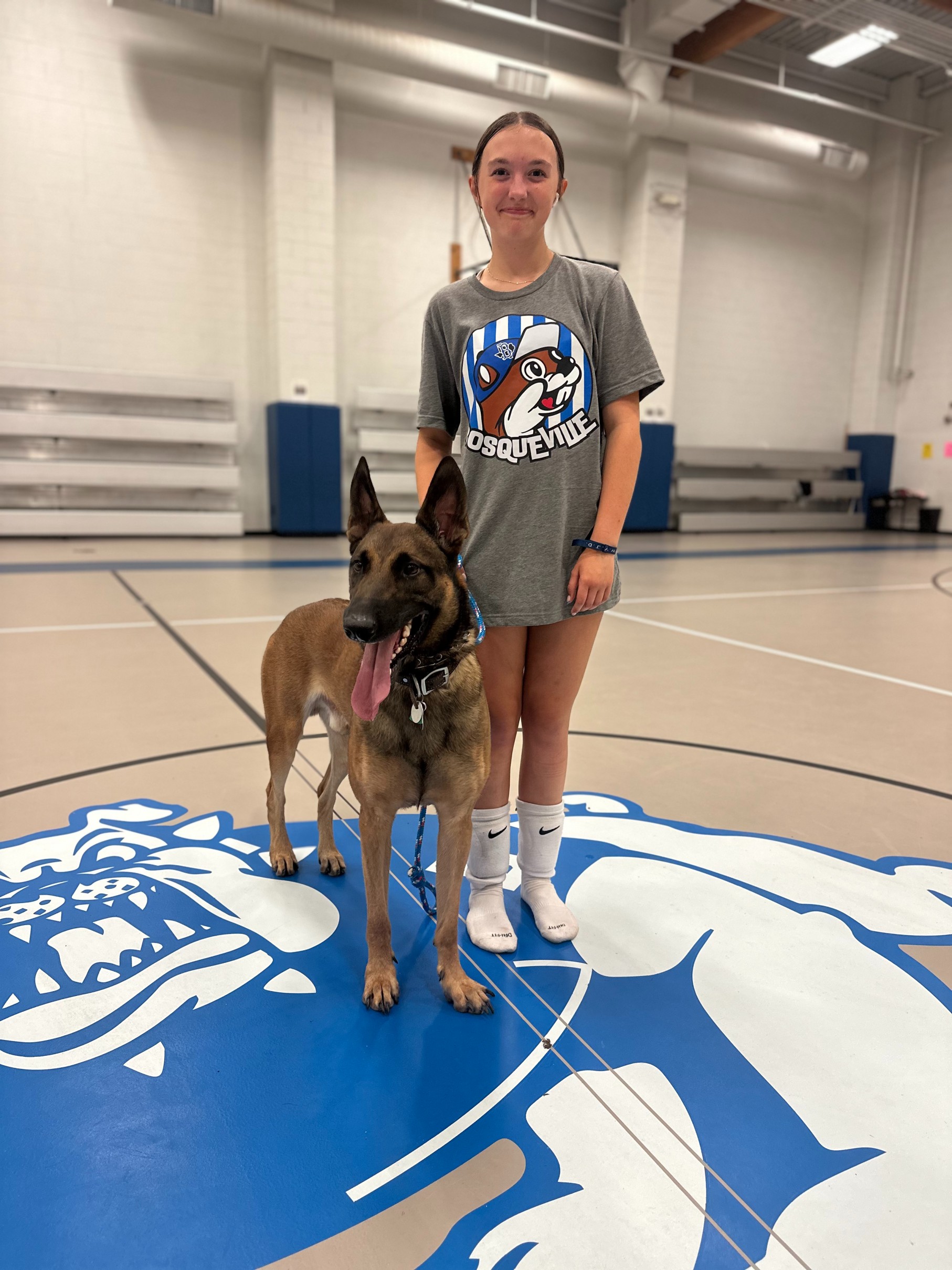 Guardian Malinois