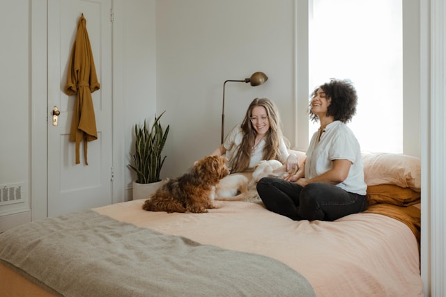 Is Revolution Plus Without Vet Prescription a Safe Choice for Your Pet