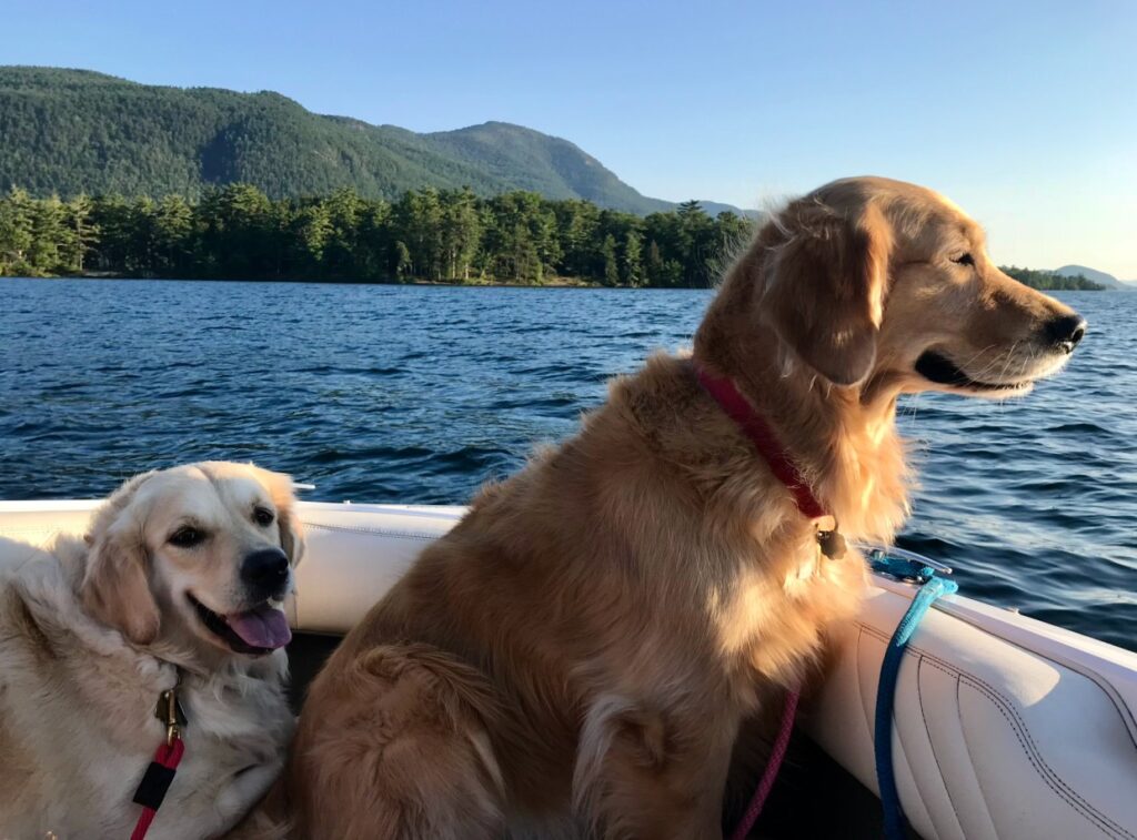 At Luxury Lake George